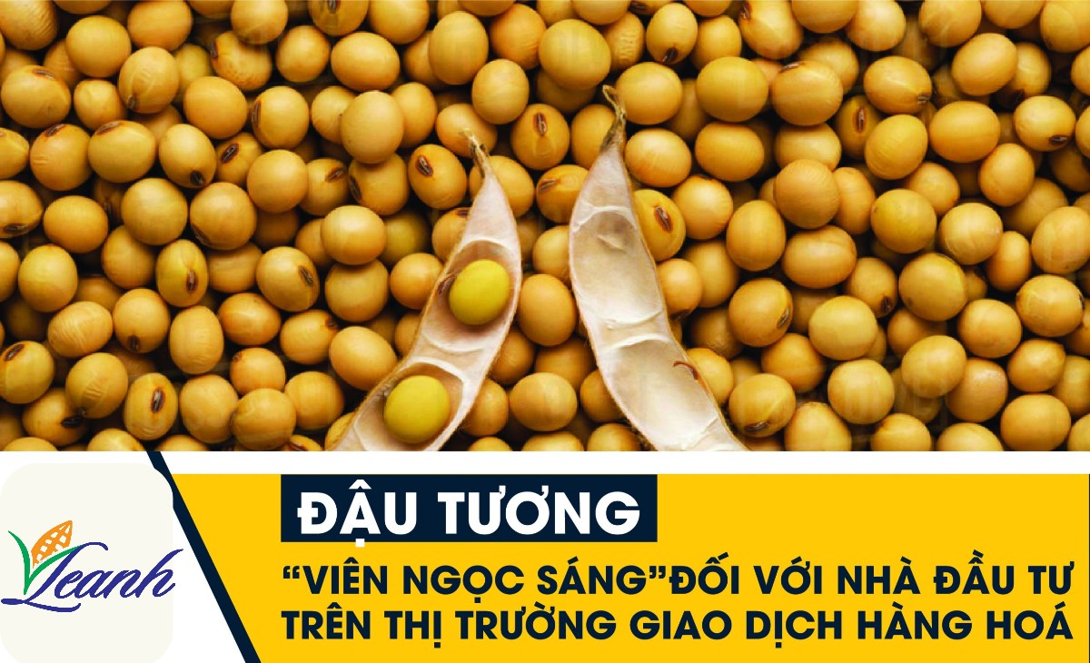 gia-dau-thuong-trong-thoi-gian-toi-se-thay-doi-ra-sao